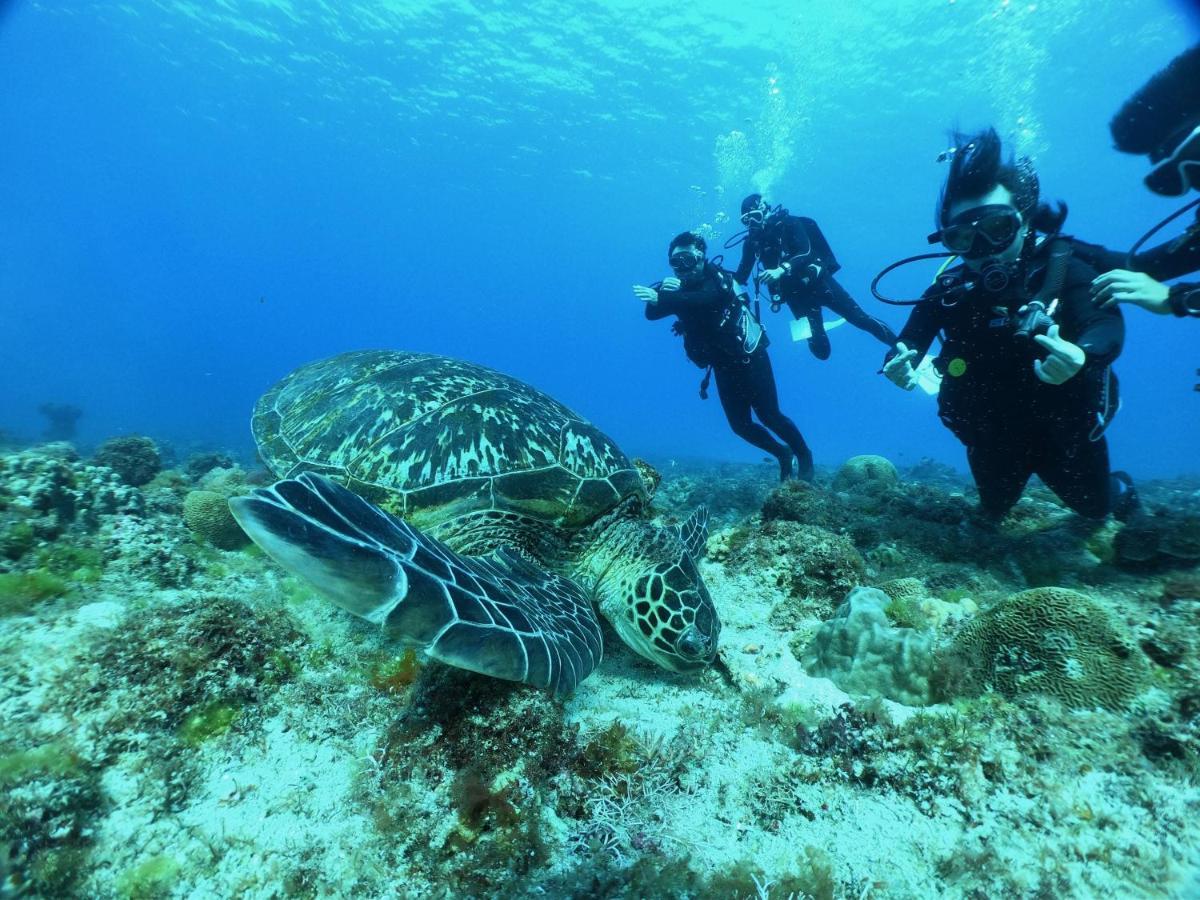 Stay Liuqiu Diving Hostel Xiaoliuqiu Eksteriør bilde