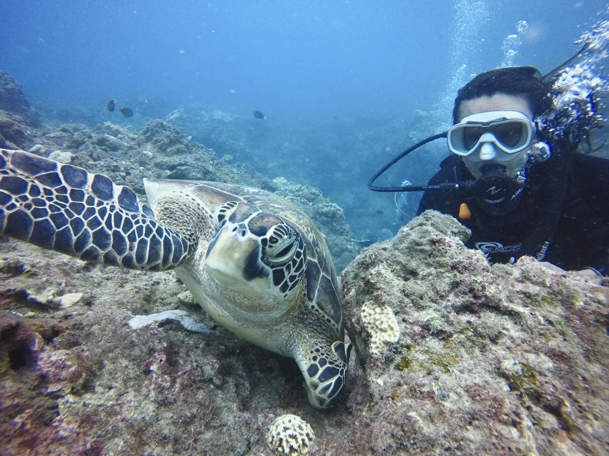 Stay Liuqiu Diving Hostel Xiaoliuqiu Eksteriør bilde