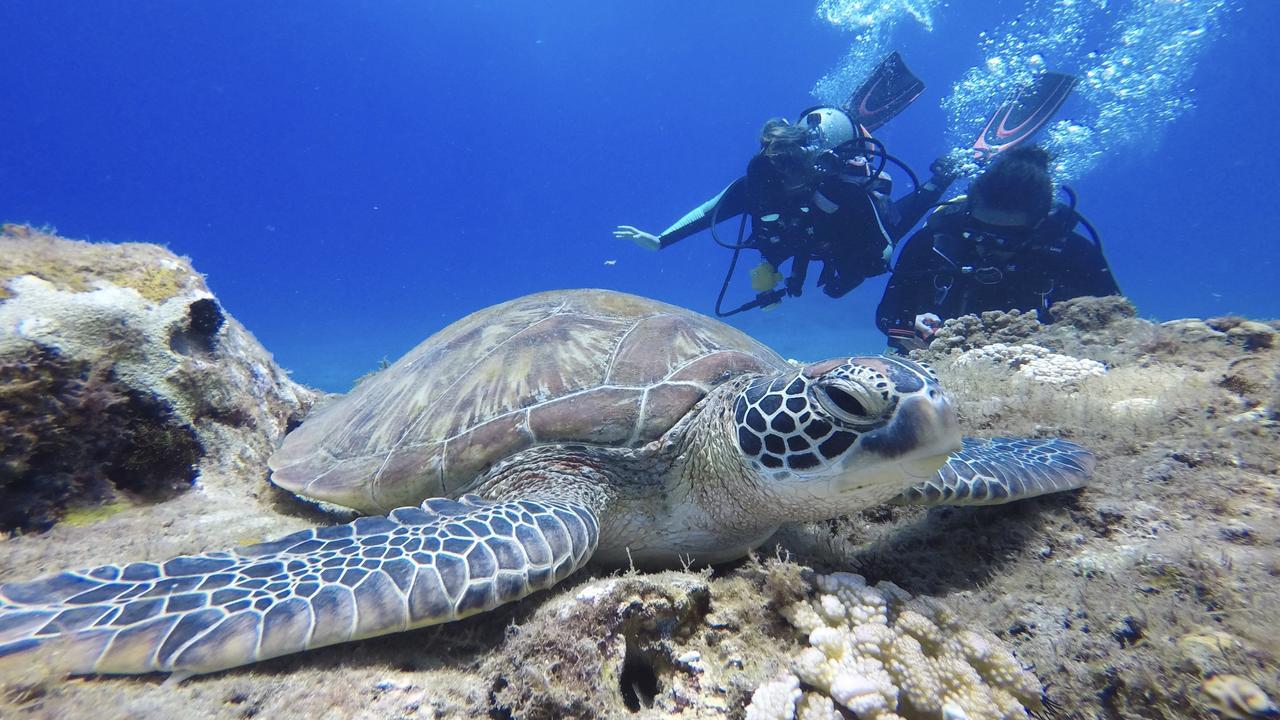Stay Liuqiu Diving Hostel Xiaoliuqiu Eksteriør bilde